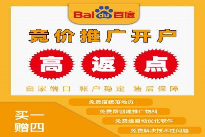 精准投放，高效转化：关键词竞价排名案例解析